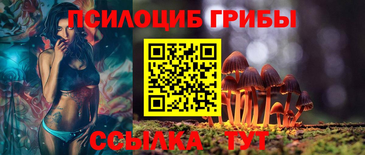 Сыктывкар  Псилоцибиновые грибы GOLDEN TEACHER  Вход с VPN 
