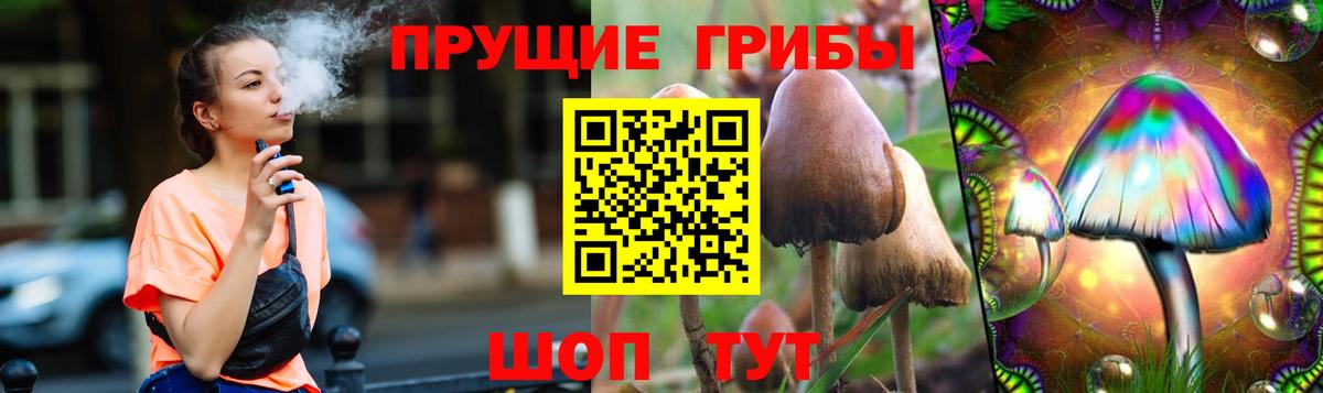 Галлюциногенные грибы мухоморы Сыктывкар